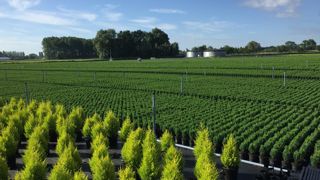 Des mesures de pesticides dans l’air, menées par l’Anses, n’ont pas révélé - à ce stade - de risque important pour la santé, a annoncé l’agence sanitaire, jeudi 2 juillet 2020. ©L. Hespel